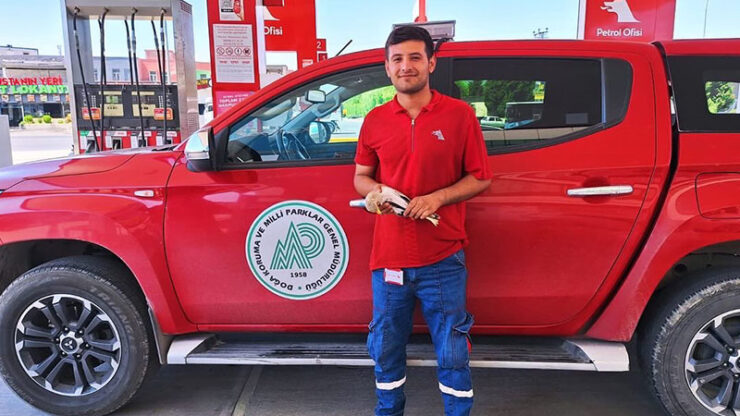 2024 07 sanliurfada kocagoz kusu tedavi altina alindi scaled