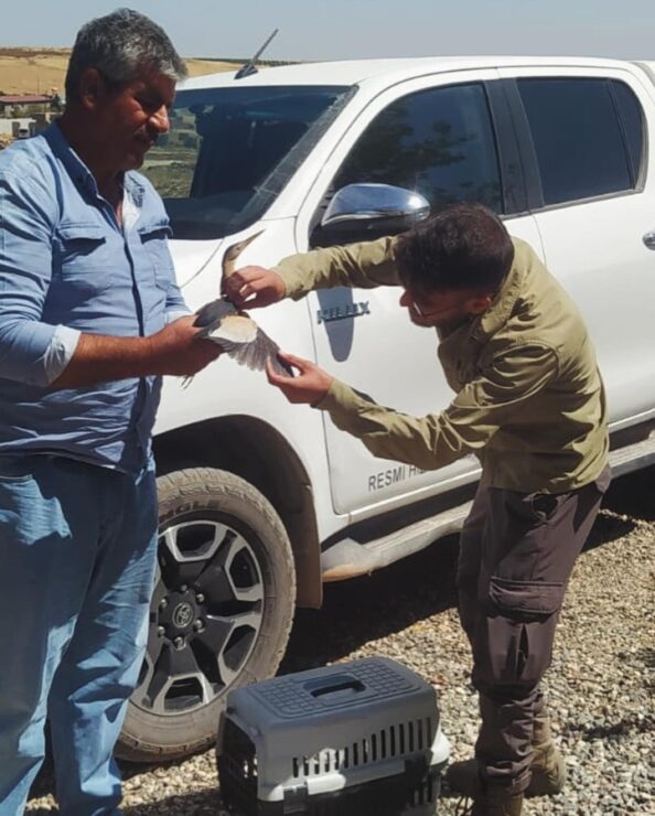 2024 08 birecikte yarali halde bulundu scaled