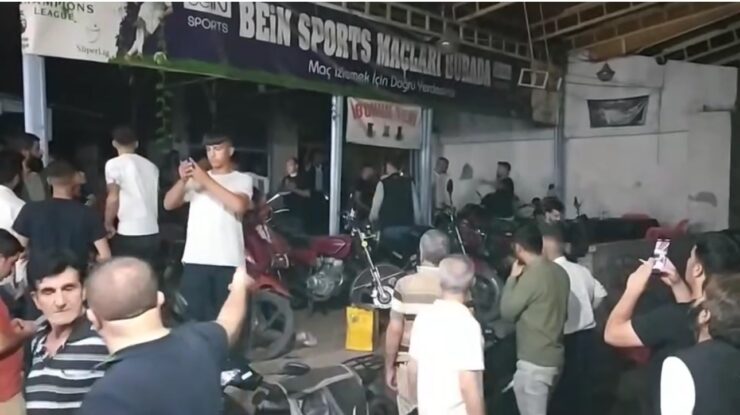 20240817aw269049 0 scaled