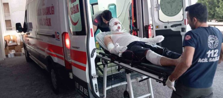 20240825aw274291 0 scaled