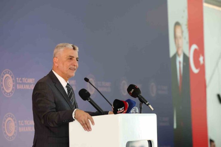 20240912aw286202 0 scaled