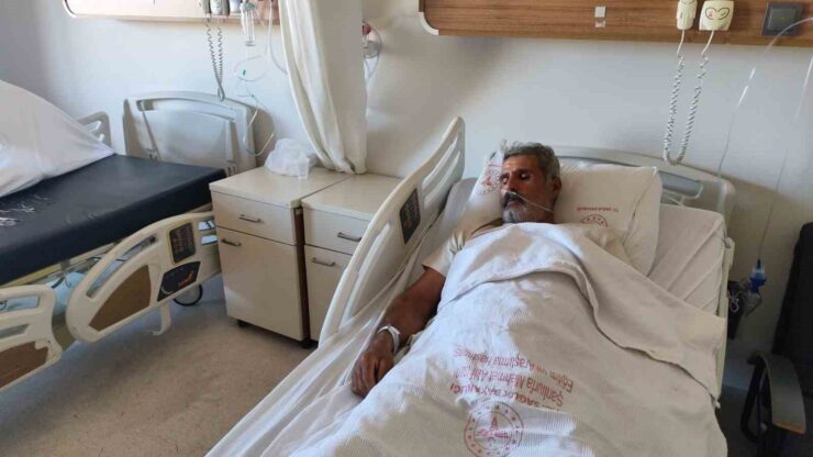 20240927aw296473 0 scaled