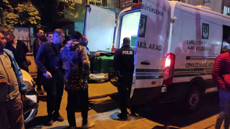 20241022aw313158 0 scaled