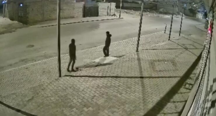 20241022aw313423 0 scaled