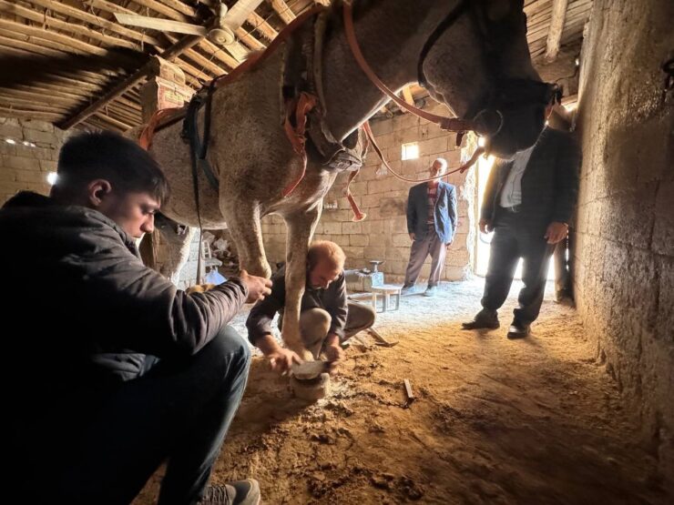 20241023aw314415 0 scaled