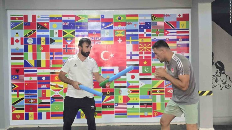 20241026aw316534 0 scaled