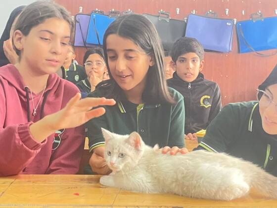 ÖĞRENCİNLER MİNİK DOSTLARINI AĞIRLADI 6 IMG 20241003 WA0027