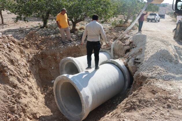 be38e989 9f39 43fd 8247 c9de6f12c2fe