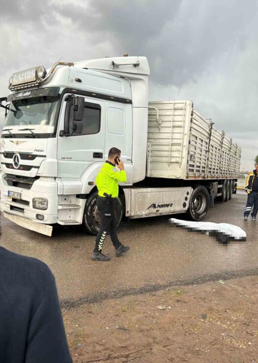 20241121aw333908 0 scaled