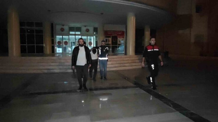 20241122aw334828 0 scaled