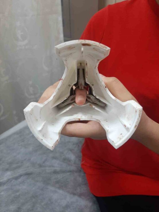 20241124aw336252 0 scaled