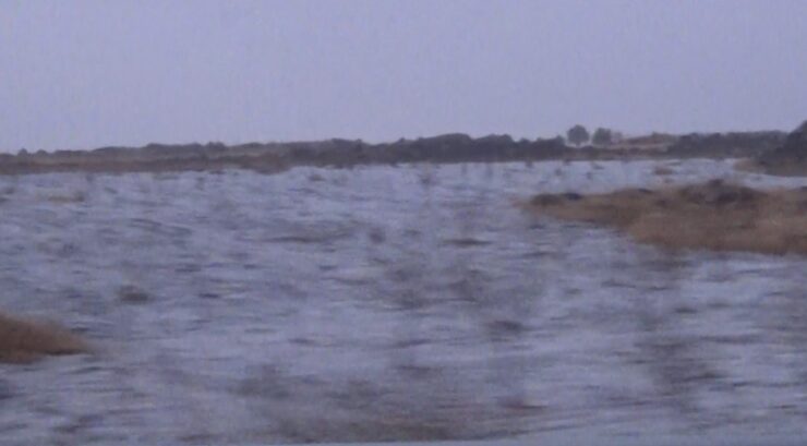 20241125aw336743 0 scaled