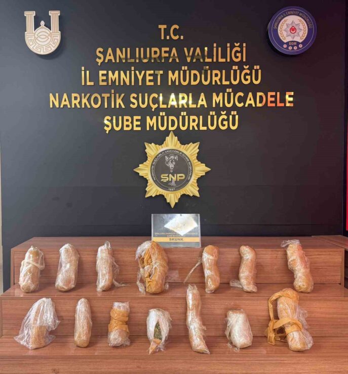 20241130aw340563 0 scaled