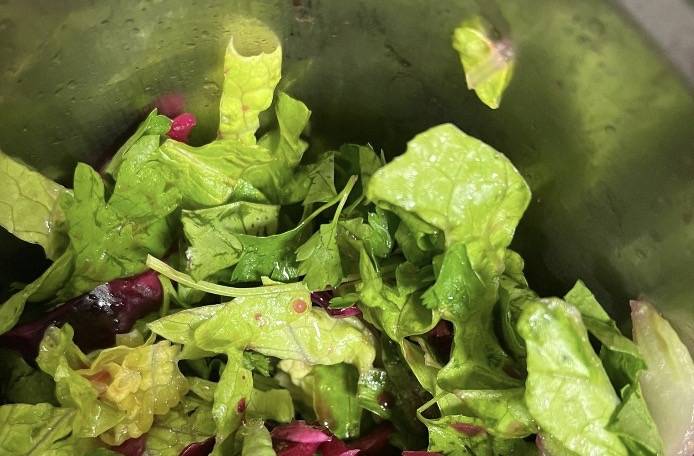 Goruntu 21.11.2024 13.54