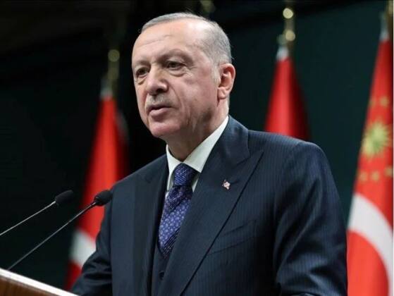 IMG 20241110 WA00651