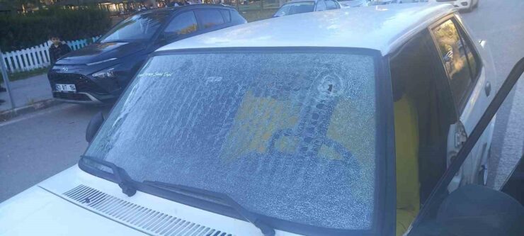 20241202aw341828 0 scaled