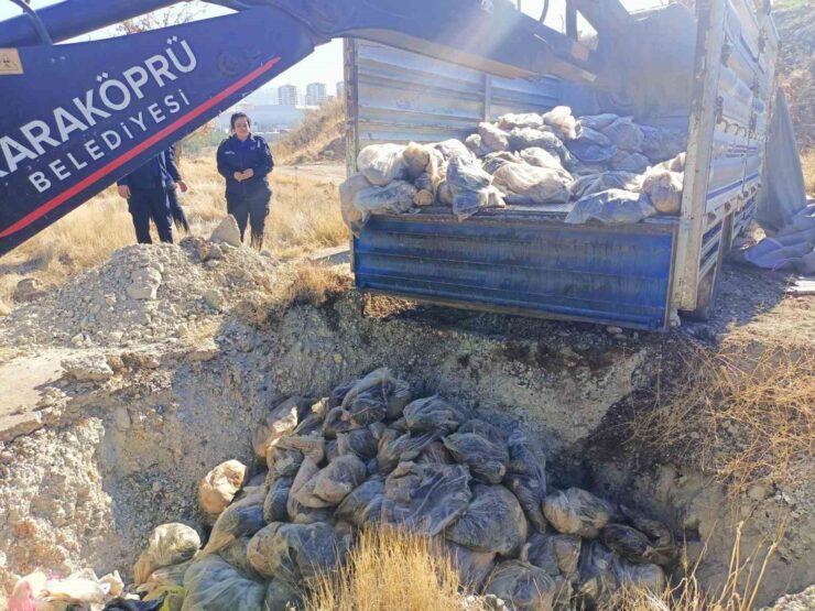 20241209aw346738 0 scaled