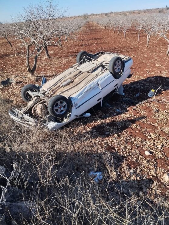 20241215aw350689 0 scaled