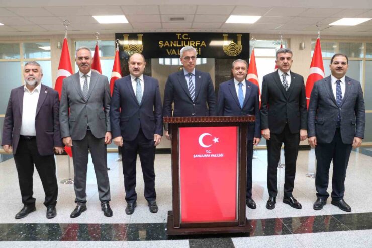 20241219aw353312 0 scaled