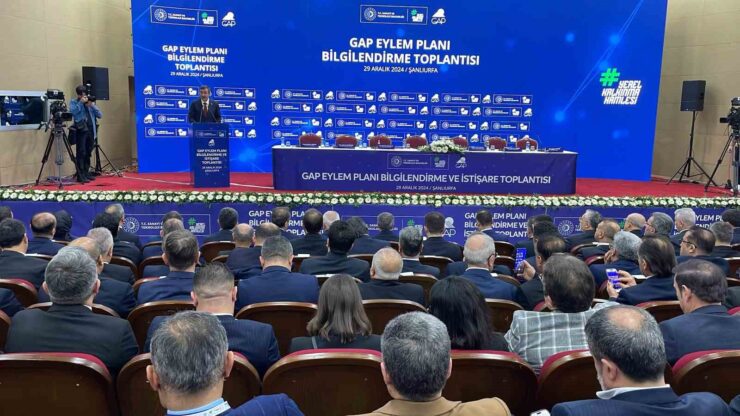 20241229aw360273 0 scaled