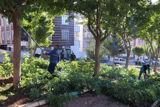 c74e01ba 218e 41c2 aba7 be1ff7364609