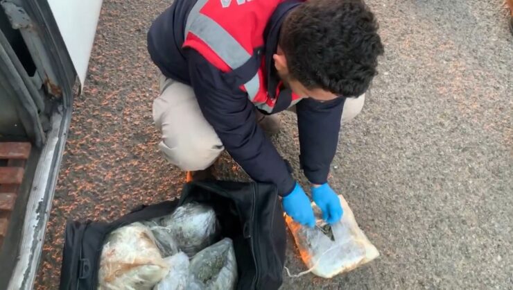 20250104aw363922 0 scaled