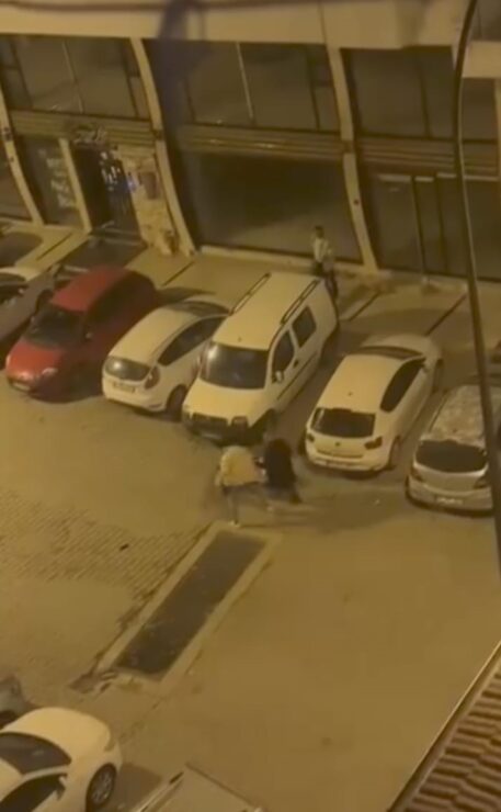 20250108aw366178 0 scaled