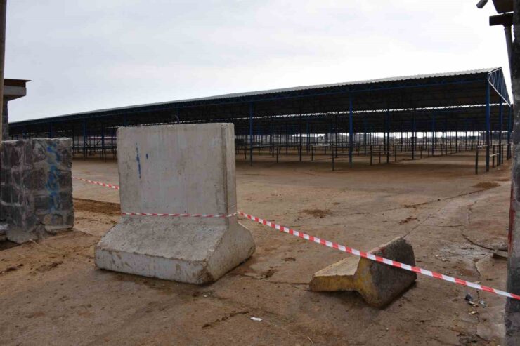 20250111aw368507 0 scaled