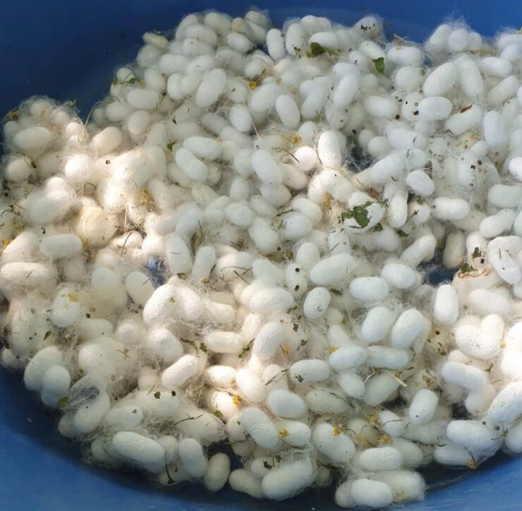 20250117aw372089 0 scaled