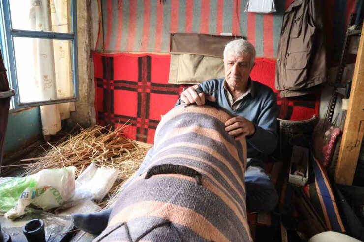 20250130aw380886 0 scaled