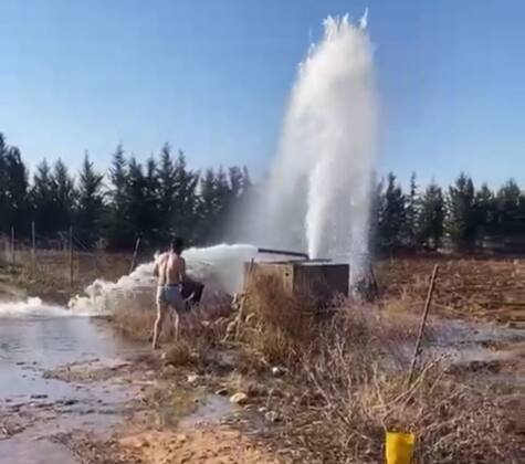 IMG 20250110 WA00271