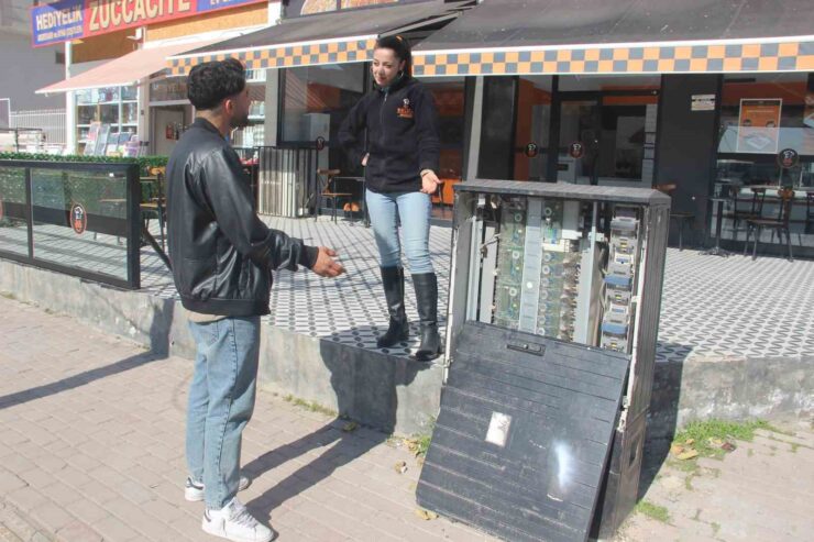 20250201aw381894 0 scaled