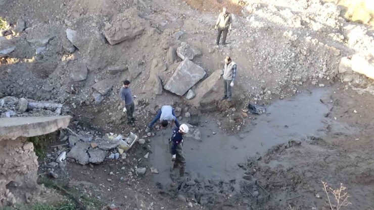 20250201aw382034 0 scaled