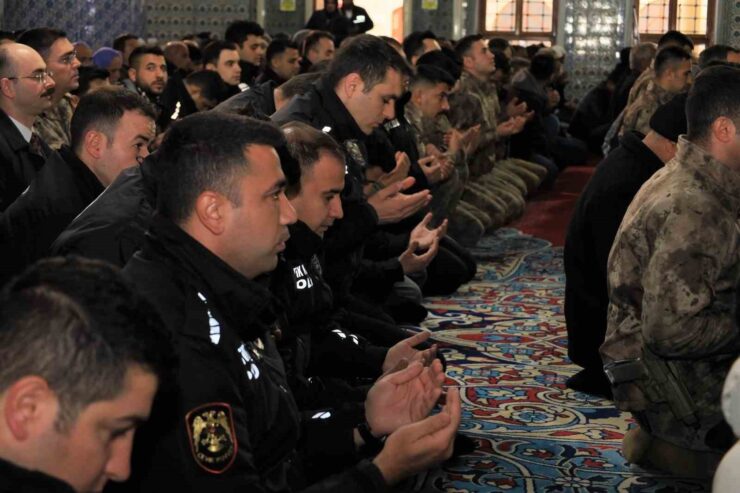 20250207aw386809 0 scaled