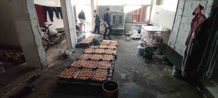 20250210aw388684 0 scaled