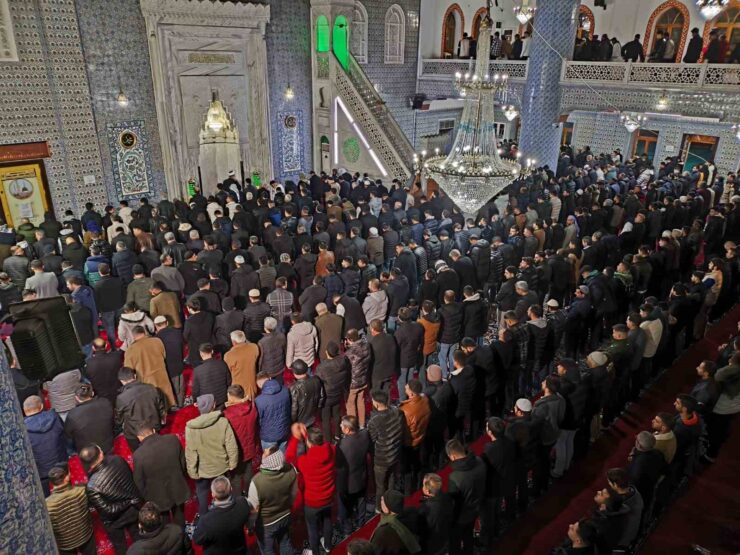 20250213aw391469 0 scaled