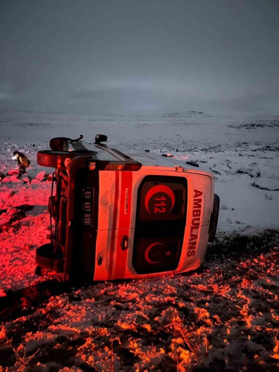 20250214aw391513 0 scaled