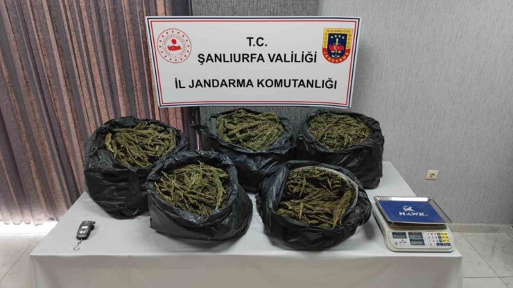 20250215aw392440 0 scaled