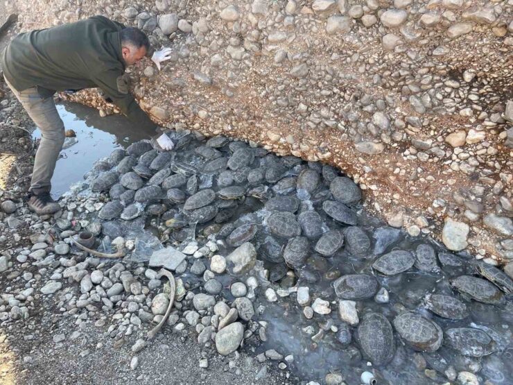 20250223aw398068 0 scaled