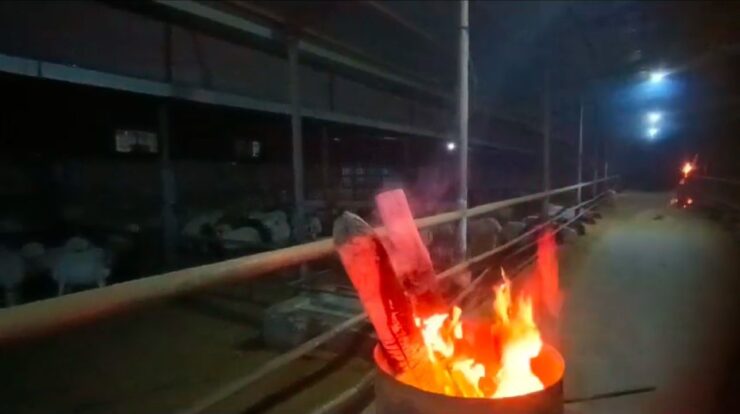 20250225aw399451 0 scaled