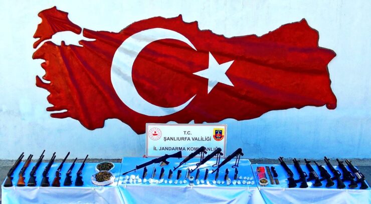 20250226aw400195 0 scaled