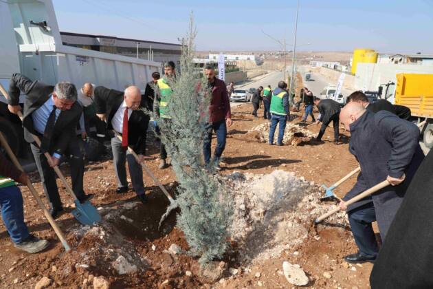 78d33dda af70 41f5 8747 aa2405ea6b4b