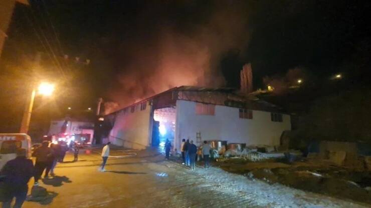 IMG 20250209 WA0011 1