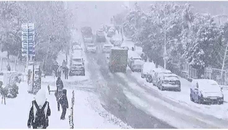 IMG 20250211 WA00221