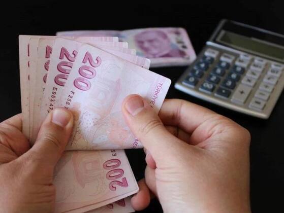 IMG 20250211 WA0031 1