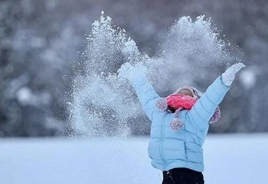 IMG 20250211 WA0032 1