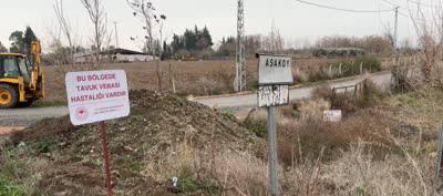 IMG 20250211 WA0035 1