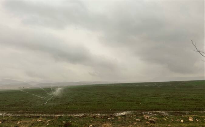 Dicle Elektrik’ten Şaşkınlık Uyandıran Tespit 6 IMG 20250213 WA0011