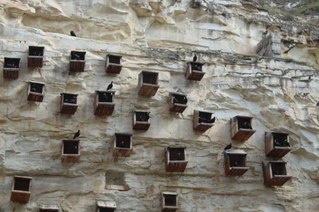 VALİ ŞILDAK BİRECİK’TE İNCELEMELERDE BULUNDU 23 IMG 20250215 WA0056