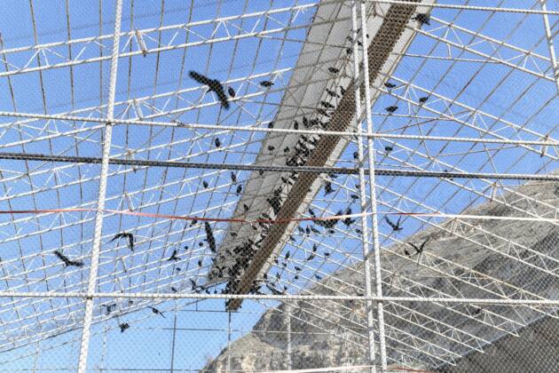 VALİ ŞILDAK BİRECİK’TE İNCELEMELERDE BULUNDU 25 IMG 20250215 WA0061